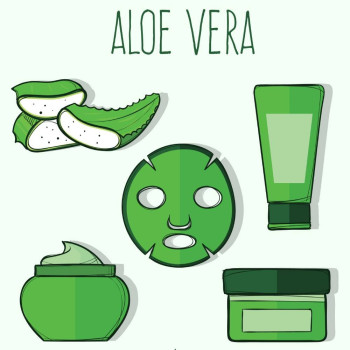 Gelierte Aloe Vera – Feuchtigkeitsspendend, beruhigend und regenerierend. Gran Velada