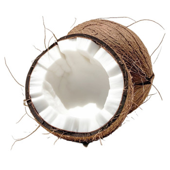 Super konzentrierte Kokosnuss-Essenz. Online-Verkauf Super konzentrierte Kokosnuss-Essenz. Online-Verkauf