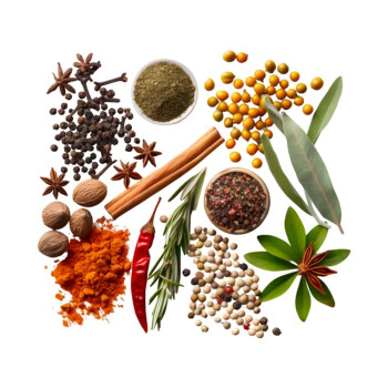 Aromatische Essenz von Gewürzen. Online-Verkauf. Aromatische Essenz von Gewürzen. Online-Verkauf.