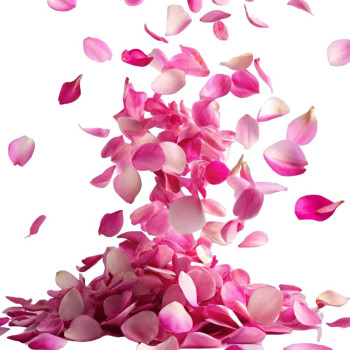 Flower Bomb Duftöl für Parfums, Kerzen und Kosmetik – Gran Velada Flower Bomb Duftöl für Parfums, Kerzen und Kosmetik – Gran Velada